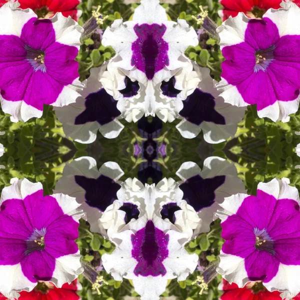Fondo floral decorativo abstracto. Patrón de colores sin costuras — Foto de Stock
