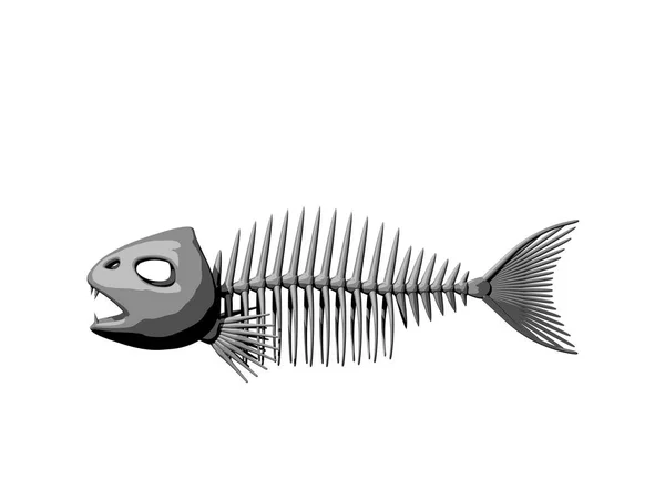 Fish skeleton. Isolated on white background. 3D rendering illust — Stock Photo, Image