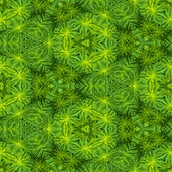Абстрактный декоративный фон растения. Бесшовный рисунок. — стоковое фото