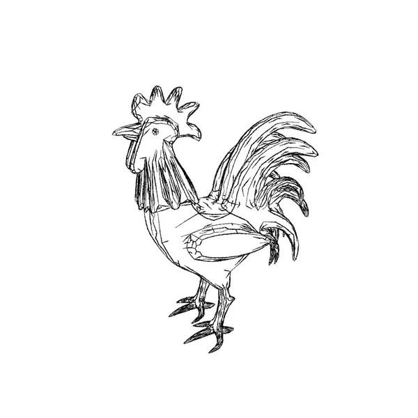 Cock. Isolated on white background. Sketch illustration. — Stock Photo, Image