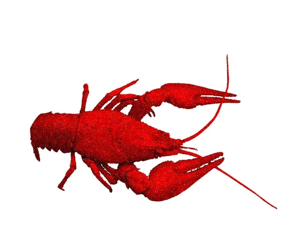 Peixe-lagosta vermelho. Isolado em fundo branco. Vector illustratio — Vetor de Stock