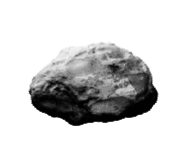 Piedra. Aislado sobre fondo blanco. Estilo de medio tono . — Archivo Imágenes Vectoriales