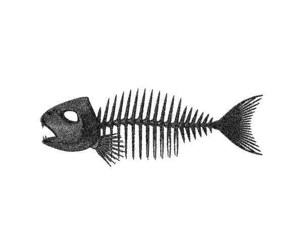 Squelette de poisson. Isolé sur fond blanc. Illustration vectorielle — Image vectorielle