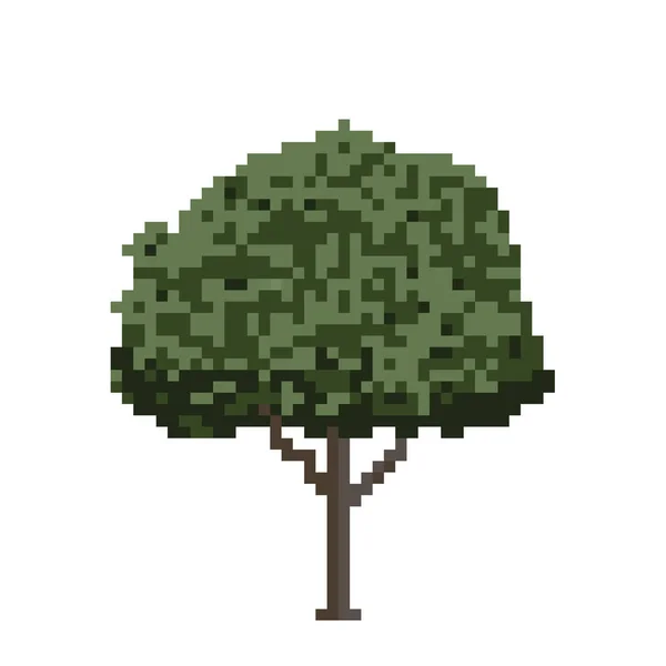 Árvore. Isolado em branco. Ilustração vetorial. Arte Pixel . — Vetor de Stock