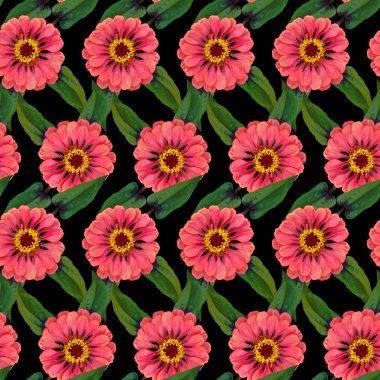 Pembe Zinnia çiçekleri ve siyah arka planda yeşil yaprakları olan kusursuz bir desen. Sonsuz renkli çiçek desenli. Raster illüstrasyonu.