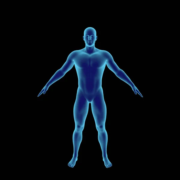 Ayakta duran adam. Karanlık arka planda izole edilmiş. 3 boyutlu canlandırma. Işık efekti. Ön görünüm.