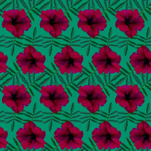 Motif Sans Couture Avec Des Fleurs Pétunia Rouge Des Feuilles — Photo