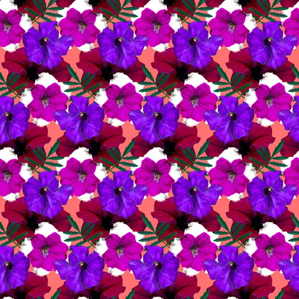 Motif Sans Couture Avec Des Fleurs Pétunia Rouge Violet Violet — Photo