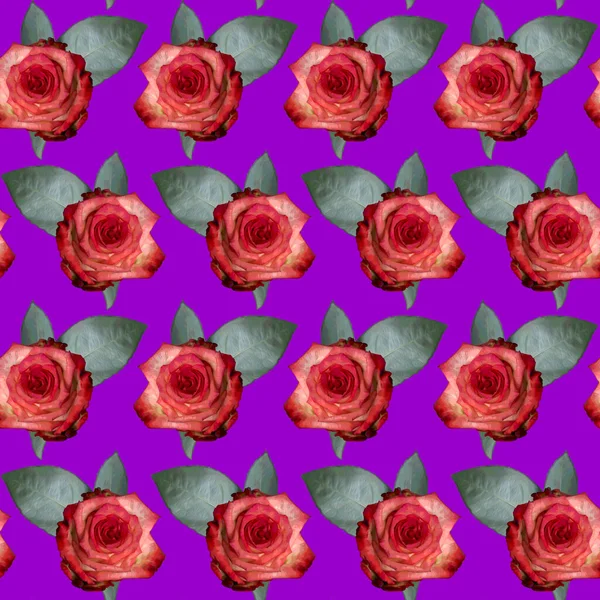 Patrón Sin Costuras Con Flores Rosadas Hojas Verdes Sobre Fondo — Foto de Stock