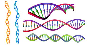 DNA ipliği hazır. Beyaz arka planda izole edilmiş. 3B resimleme.