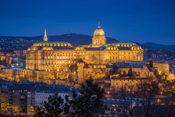 Budapest, ungarisch - die schöne buda-Burg (königlicher Palast) vom gellert-Hügel aus gesehen, im Winter zur blauen Stunde beleuchtet — Stockfoto