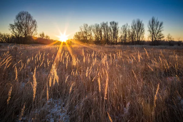 Golden sunrise na zimny zimowy poranek - Węgry — Zdjęcie stockowe