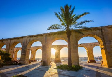 Valletta, Malta - Valletta üst gündoğumu mavi gökyüzü ile palmiye ağacı