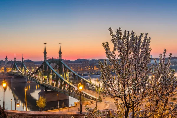 Budapest, Hungría Vista panorámica del horizonte de Budapest en primavera desde la colina Gellert con cerezo en flor y puente de la libertad al amanecer —  Fotos de Stock