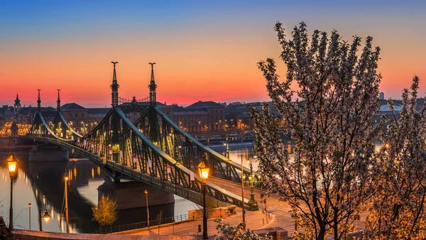 Budapest, Ungheria Veduta panoramica sullo skyline di Budapest in primavera ripresa dalla collina di Gellert con albero di ciliegio e ponte della libertà all'alba — Foto Stock