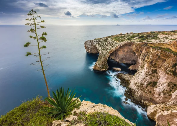 Malta - Blue Grotto sziklák zöld levelek, és a fa híres Diadalív — Stock Fotó
