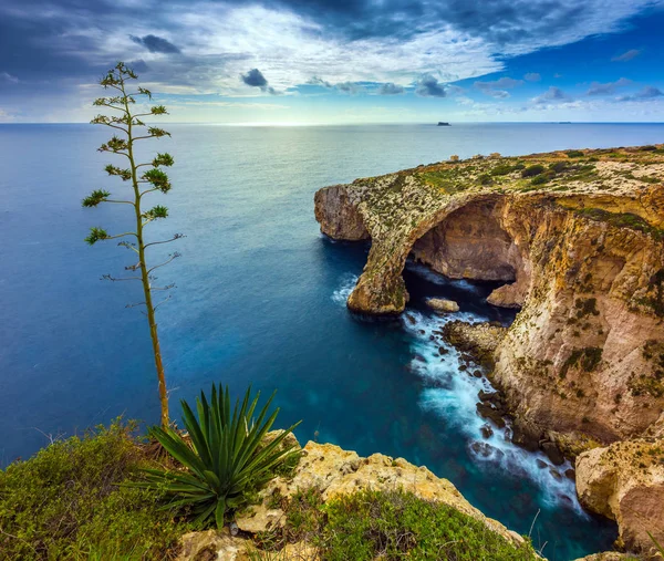 Malta - El hermoso arco de la Gruta Azul con árbol — Foto de Stock