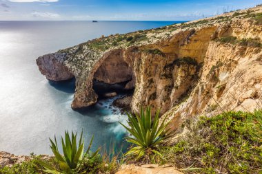 Malta - Blue Grotto öndeki bitkiler ile güzel uçurum