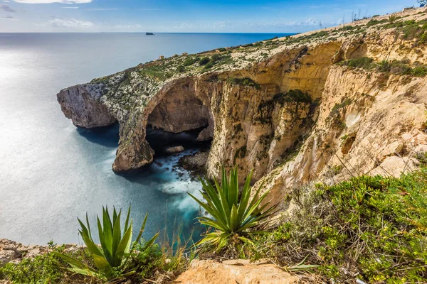 Málta - a gyönyörű szikla a kék barlang-az első növények — Stock Fotó