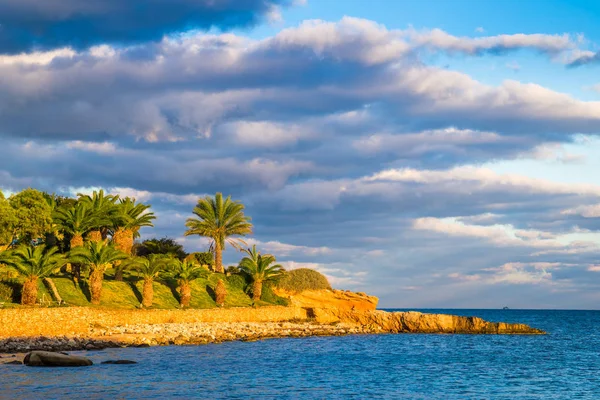 Il-mellieha, malta - wunderschöne Palmen im Sonnenuntergang bei Mellieha — Stockfoto