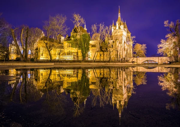 부다페스트, 헝가리-블루 시간에서 부다페스트의 도시 공원에서 반사와 아름 다운 Vajdahunyad 성곽 — 스톡 사진