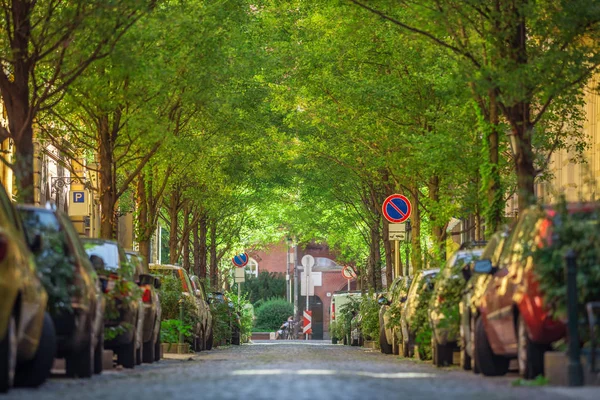 Budapeste, Hungria - A bela e acolhedora rua Reviczky, no coração de Budapeste, numa bela manhã de verão com árvores verdes — Fotografia de Stock
