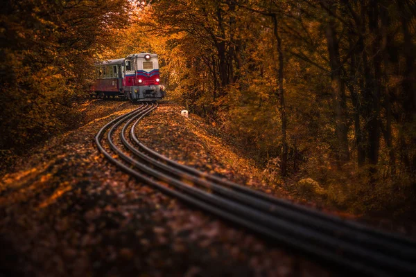 Budapest, ungarisch - schöner Herbstwald mit Laub und alter bunter Eisenbahn auf den Gleisen in ungarischen Wäldern — Stockfoto