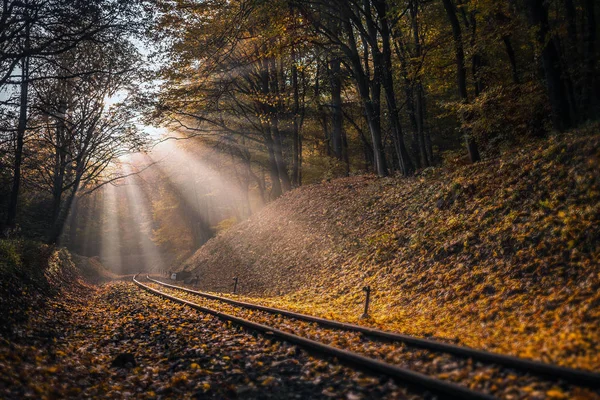 Budapest, Hongarije - Rising sun valt op het spoor van de spoorweg leidt door het herfst bos op Huvosvolgy — Stockfoto