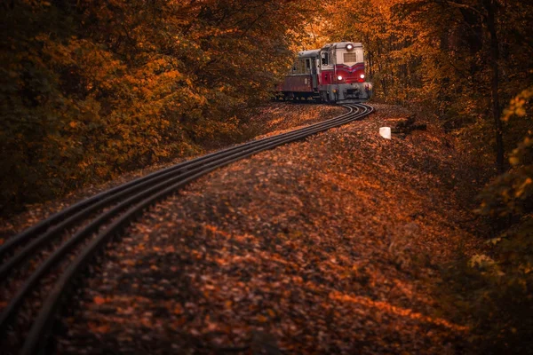 Budapest, Hungary - Beautiful autumn forest with foliage and old colorful train on the track in the Hungarian woods of Huvosvolgy — Stock Photo, Image