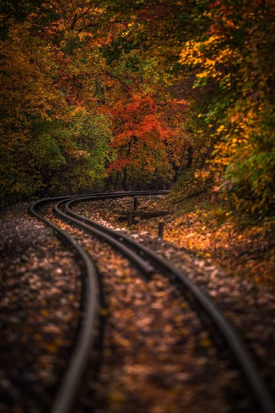 Budapest, Hongarije - trein sporen in de bossen van de autum van Huvosvolgy met prachtige kleurrijke gebladerte op val — Stockfoto