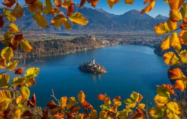 Bled, Szlovénia - őszi lombozat keretes légi felvétel a Nagyboldogasszony templom, Maria, a Bledi-tó és a Bledi kastélyra, egy napsütéses reggel Júliai-Alpok a háttérben — Stock Fotó