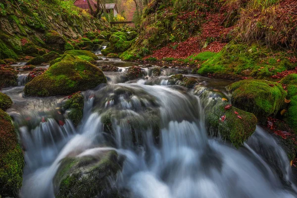 Slovenia - Ruscello con ponte e case in legno in autunno bosco con fogliame marrone e rosso e muschio verde sulle rocce — Foto Stock