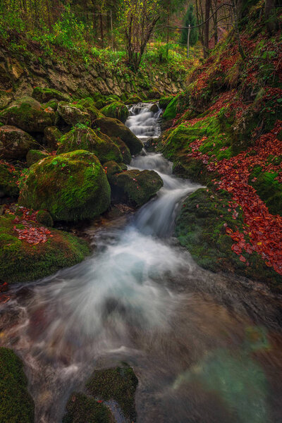 Slovenia - Stream with bridge and wooden houses in autumn woodland with brown and red foliage and vibrant green moss on the rocks