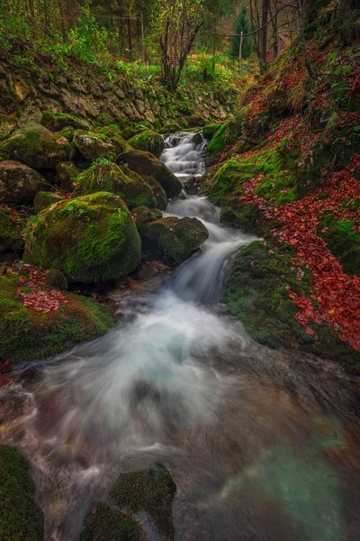 Slovenië - Stream met bridge en houten huizen in herfst bos met bruin en rood loof en levendige groene mos op de rotsen — Stockfoto