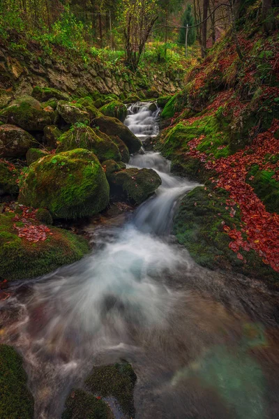 Slovenia - Ruscello con ponte e case in legno in autunno bosco con fogliame marrone e rosso e muschio verde sulle rocce — Foto Stock