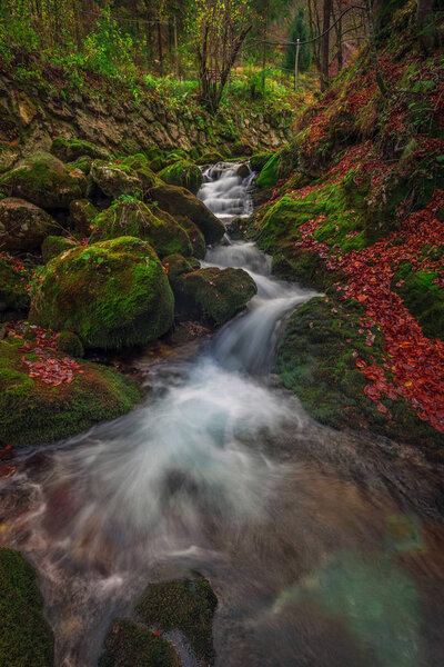 Slovenia - Stream with bridge and wooden houses in autumn woodland with brown and red foliage and vibrant green moss on the rocks