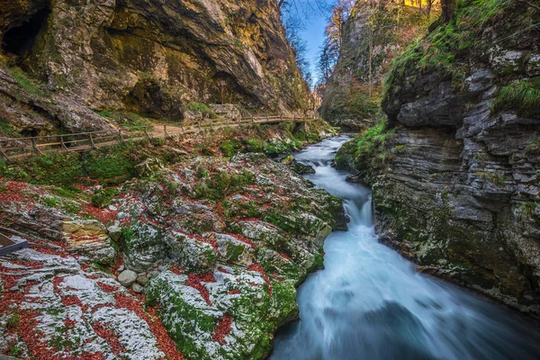 Блед, Словения - Красивый ущелье Винтгар с деревянной дорожкой и ручей рядом с Блед, Триглав — стоковое фото