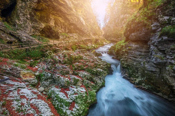 流血, 斯洛文尼亚-美丽的 Vintgar 峡谷峡谷与木路径和小溪附近流血, Triglav — 图库照片