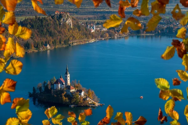 流血, 斯洛文尼亚-日出在湖流血从 Osojnica 观点与传统 Pletna 小船和流血城堡在背景在秋天。框架与秋天叶子 — 图库照片
