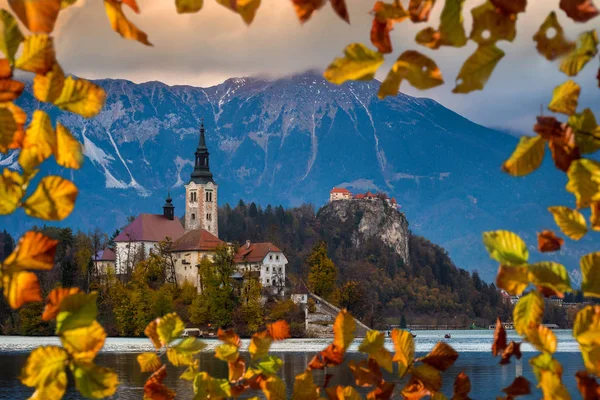 Bled, Szlovénia - gyönyörű őszi sunrise-tó Bled híres zarándok templom, a Nagyboldogasszony Mária, a Bledi várra és a Júliai-Alpokra a háttérben. Keretezett őszi lombozat — Stock Fotó