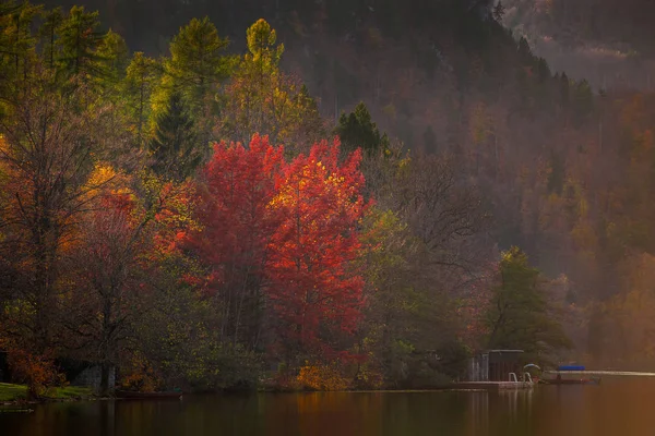 Bled, Slovenia - Autumn colors os Slovenia by the Lake Bled at sunset