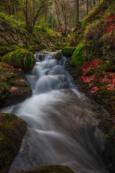Slovenia - Stream with wooden houses in autumn woodland with brown and red foliage and vibrant green moss on the rocks