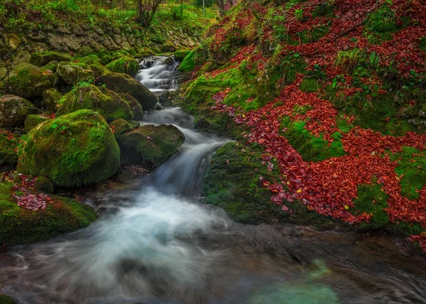 Slovenia Flusso boschivo autunnale con fogliame marrone e rosso e muschio verde vibrante sulle rocce — Foto Stock