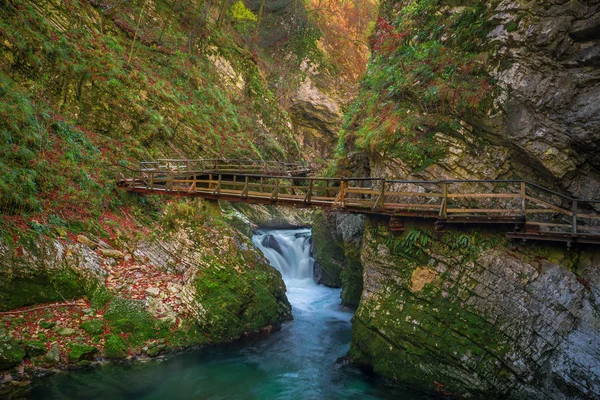 Bled, Slovenia - Il bellissimo canyon di Vintgar Gorge con ponte in legno e ruscello vicino a Bled, Triglav — Foto Stock