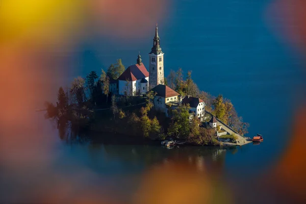 Bled, Slovenia - Aerial sunrise view of Lake Bled taken from Ostrica viewpoint at autumn. Framed with autumn foliage — Stock Photo, Image