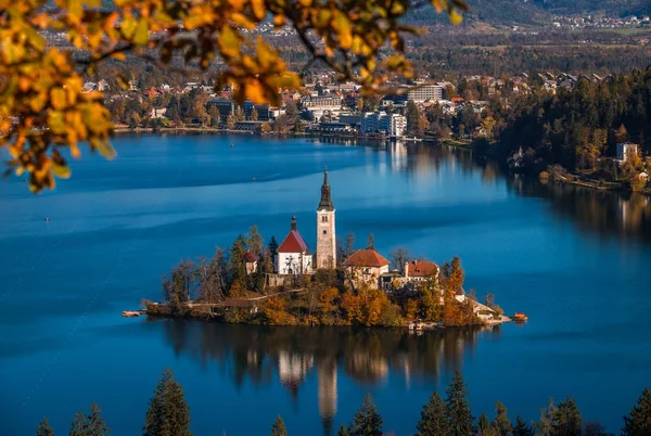 Bled, Eslovenia - Salida del sol en el lago Bled tomada desde el mirador de Osojnica con el barco tradicional Pletna y el castillo de Bled en el fondo en otoño. Enmarcado con follaje otoñal — Foto de Stock