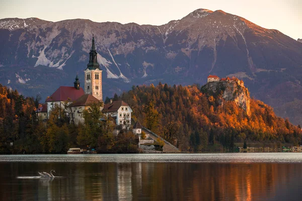 Bled, Slovinsko - krásné podzimní východ slunce u jezera Bled s slavný poutní kostel Nanebevzetí Marie hrad Bled a Julské Alpy na pozadí — Stock fotografie