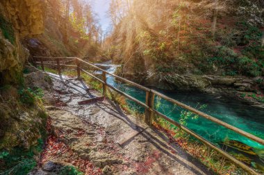 Bled, Slovenya - ahşap yol ve dere Bled, Triglav yakınındaki ile güzel Vintgar Gorge Kanyon