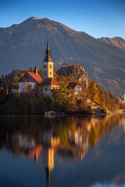 Bled, Eslovenia - Lago Bled en una hermosa mañana de otoño con la famosa Iglesia de Peregrinación de la Asunción de María y el Castillo de Bled y los Alpes Julianos en el fondo. Cielo azul claro —  Fotos de Stock