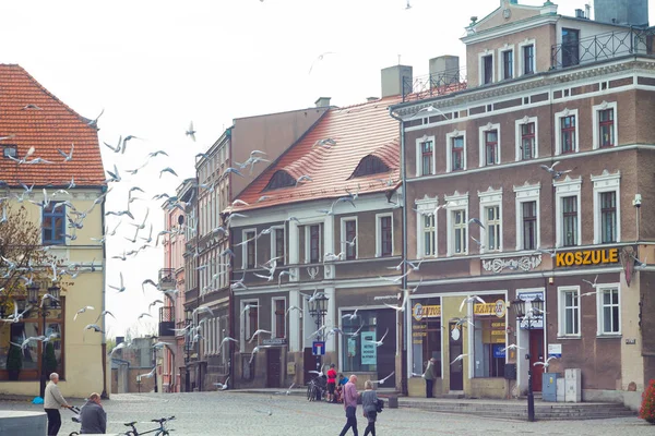 Rynek Gniezno Centrum Miasta — Zdjęcie stockowe